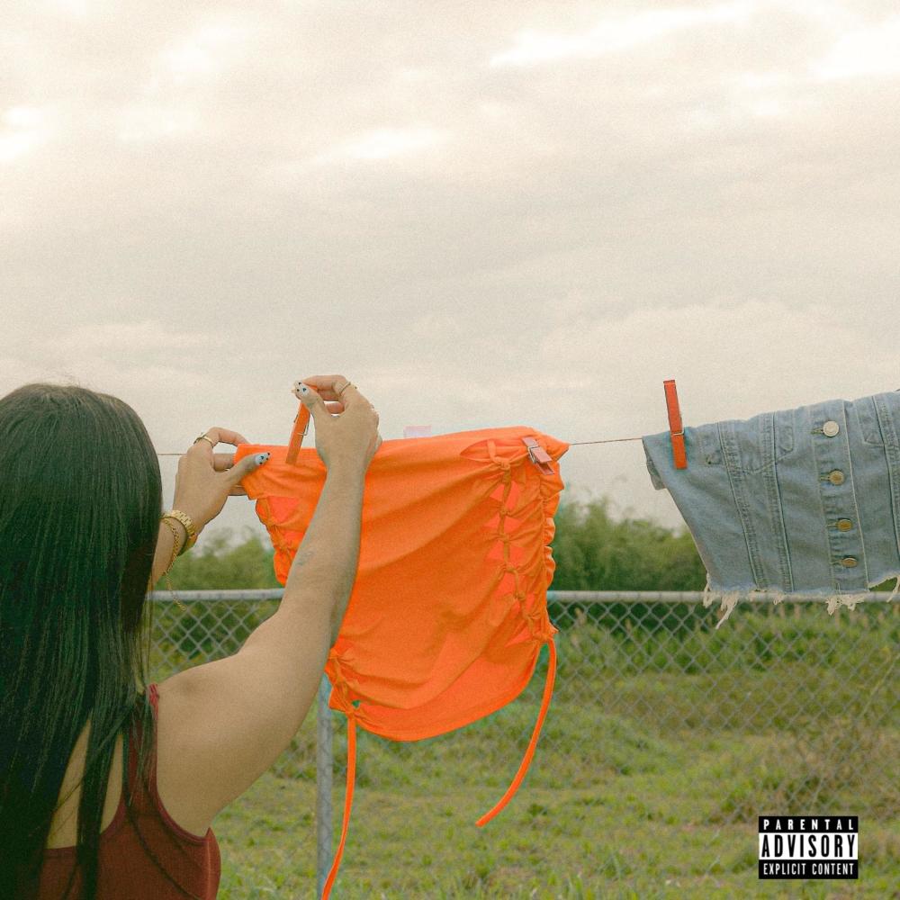 FALDA 2006 (feat. Piradez) (Explicit)