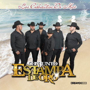 收聽Conjunto Estampa De Oro的Los Caballitos De Mar歌詞歌曲