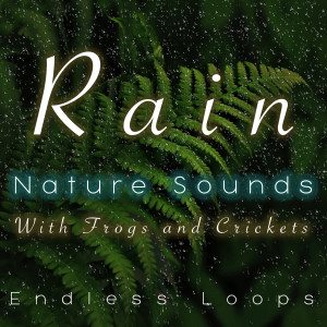 Zen Meditations from a Sleeping Buddha的專輯Rain Nature Sounds With Frogs and Crickets (Endless Loops)