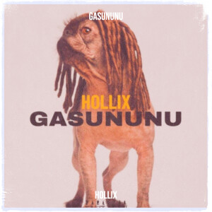 Listen to Gasununu song with lyrics from HOLLIX