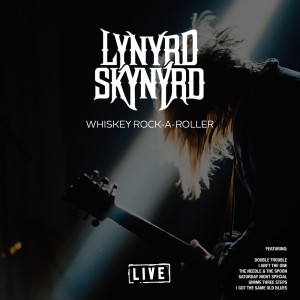 收听Lynyrd Skynyrd的Simple Man (Live)歌词歌曲
