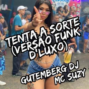收聽Gutemberg DJ的TENTA A SORTE (VERSÃO FUNK D'LUXO)歌詞歌曲