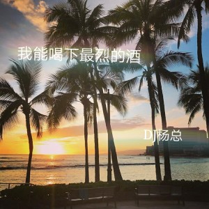 收聽風的我能喝下最烈的酒 (DJ版)歌詞歌曲