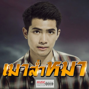 เมาส่ำหมา - Single