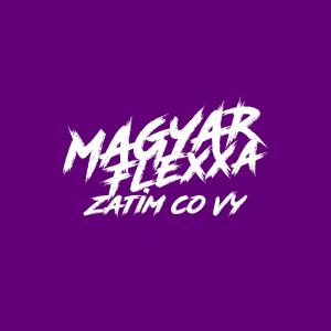 ดาวน์โหลดและฟังเพลง Zatím co Vy (Explicit) พร้อมเนื้อเพลงจาก Magyar Flexxa