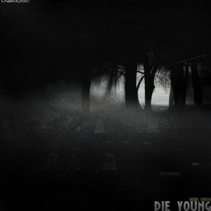 ดาวน์โหลดและฟังเพลง Die Young (Sunny Dee Remix Edit) พร้อมเนื้อเพลงจาก Diva Chain
