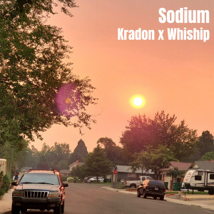 Listen to Sodium song with lyrics from KRADON