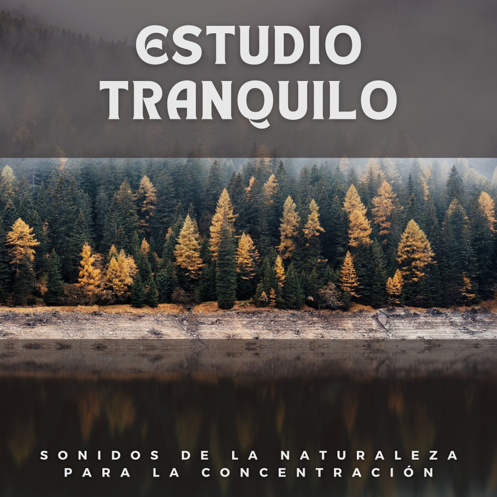 Grillos En La Oscuridad