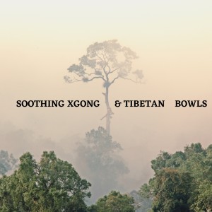 Sahlene Williams的专辑Soothing Xgong & Tibetan Bowls