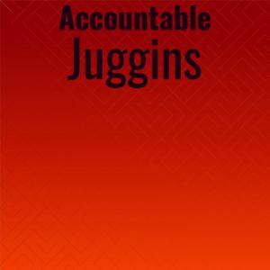 ดาวน์โหลดและฟังเพลง Accountable Juggins พร้อมเนื้อเพลงจาก Lior Leco