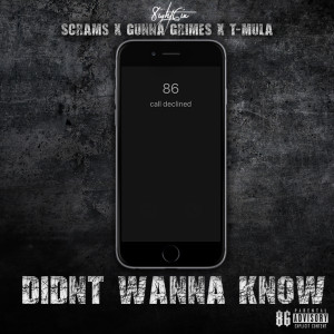 Album Didn't Wanna Know (Explicit) from 86