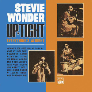 ดาวน์โหลดและฟังเพลง Blowin' In The Wind พร้อมเนื้อเพลงจาก Stevie Wonder