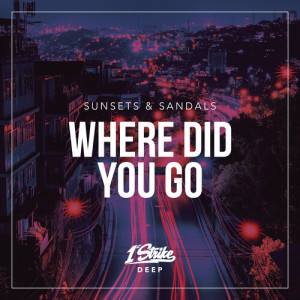 Album Where Did You Go from sunsets & sandals