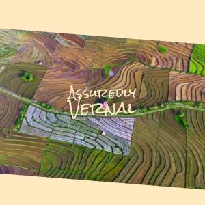 收听Homy Deli的Assuredly Vernal歌词歌曲