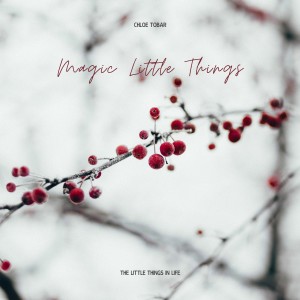 ดาวน์โหลดและฟังเพลง Holy Night (Snowy Winter Edit) พร้อมเนื้อเพลงจาก Carla Willson