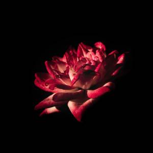 ดาวน์โหลดและฟังเพลง Real Talk (Explicit) พร้อมเนื้อเพลงจาก TT-Baby