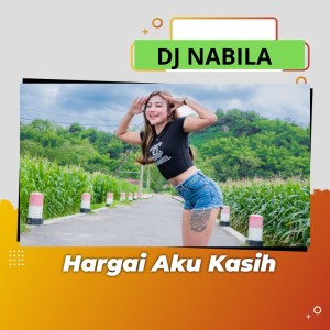 收聽Dj Nabila的Hargai Aku Kasih歌詞歌曲