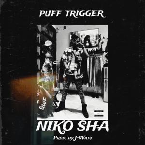 Album NIKO SHA from Puff trigger