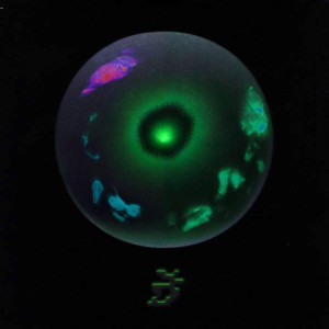 Album TELFAIR (Explicit) from Belze