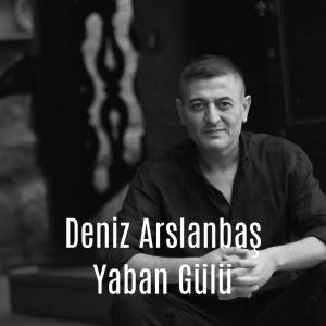 收聽Deniz Arslanbaş的Yaban Gülü歌詞歌曲