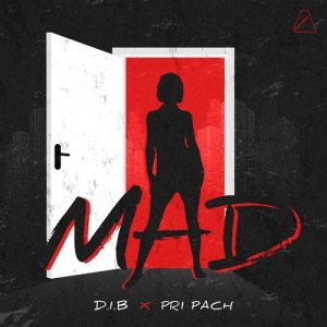 收聽D.I.B的Mad歌詞歌曲