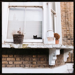 Listen to Chill Chill song with lyrics from Jost Esser