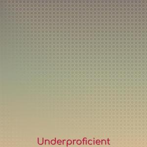 Various Artists的專輯Underproficient