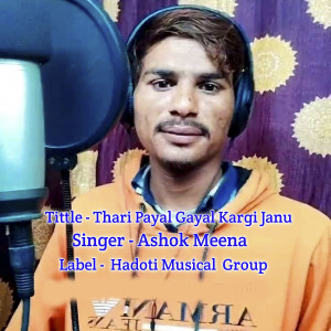 Dengarkan lagu Thari Payal Gayal Kargi Janu nyanyian Ashok Meena dengan lirik