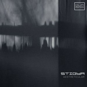 Listen to Aestheticular (Original Mix) song with lyrics from Stigya