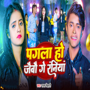 Listen to Pagal Ho Jaibau Ge Raniyan song with lyrics from Raja Bihari