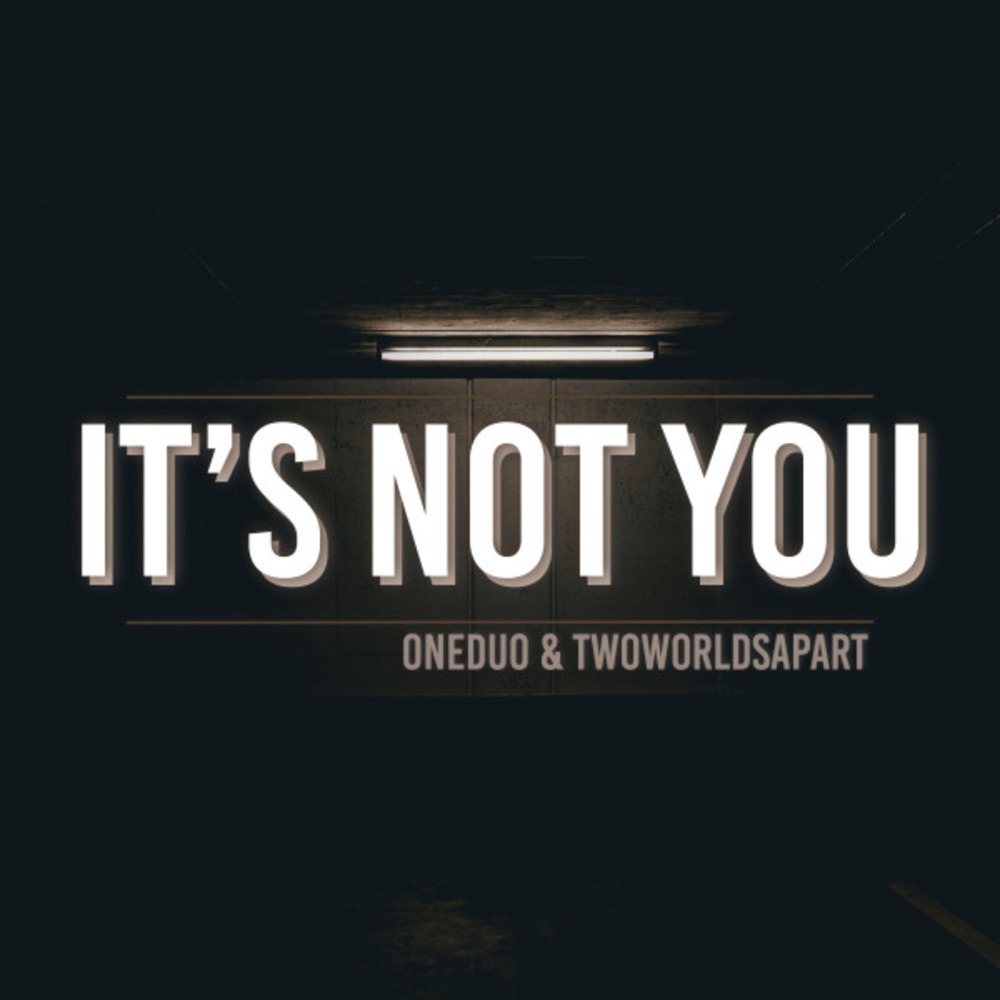Its Not You (其他)