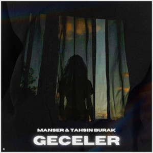 Album Geceler from 