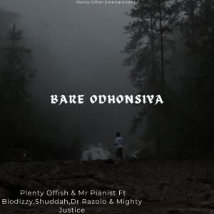 Plenty Offish的專輯Bare Odhonsiya (feat. Biodizzy, Shuddah, Dr Razolo & Mighty Justice)