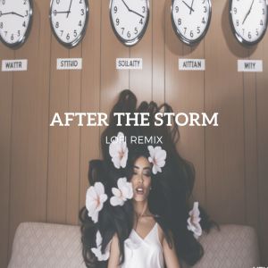 After The Storm (Lofi Remix)