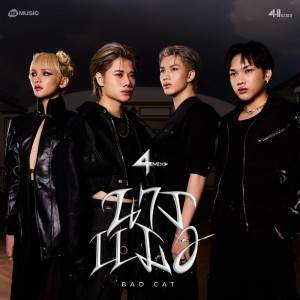 ดาวน์โหลดและฟังเพลง นางเเมว (BAD CAT) พร้อมเนื้อเพลงจาก 4MIX