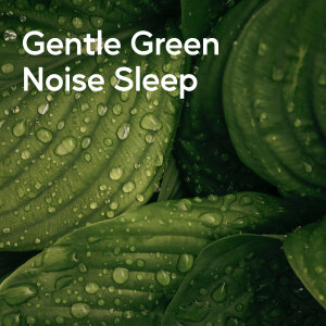 อัลบัม Gentle Green Noise Sleep ศิลปิน Nature Of Sweden
