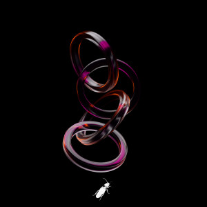 Album Can´T Escape from 