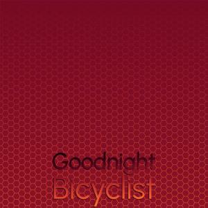 Various Artists的專輯Goodnight Bicyclist