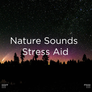 ดาวน์โหลดและฟังเพลง Sonido De Grillo พร้อมเนื้อเพลงจาก Deep Sleep