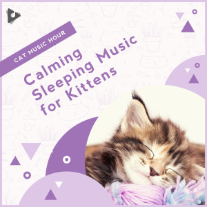 Cat Music Hour的專輯Calming Sleeping Music for Kittens