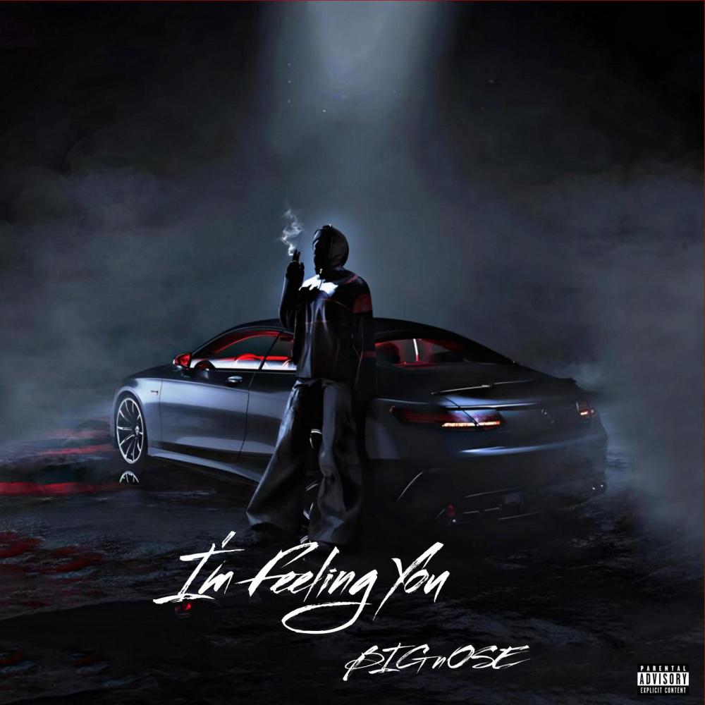 I'm Feeling You (Explicit)