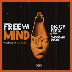 ดาวน์โหลดและฟังเพลง Free Ya Mind (Explicit) พร้อมเนื้อเพลงจาก diGGy Flex