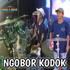 Dengarkan Ngobor Kodok lagu dari New pallapa dengan lirik