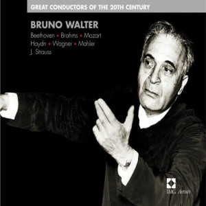 ดาวน์โหลดและฟังเพลง Die Fledermaus (2002 Remastered Version): Overture พร้อมเนื้อเพลงจาก Bruno Walter/Orchestre de la Société des Concerts du Conservatoire