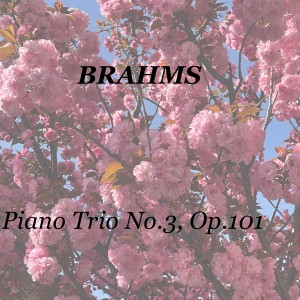 Trio Di Trieste的專輯Brahms: Piano Trio No.3, Op.101