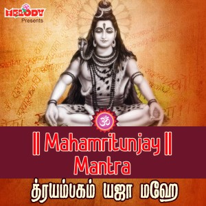 Geetha的專輯Mahamritunjay Mantra