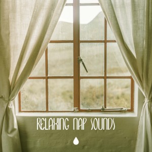Chill Sleep的專輯Relaxing Nap Sounds