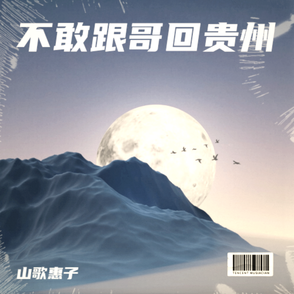 不敢跟哥回贵州 (伴奏)
