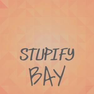 Album Stupify Bay from Various Artists