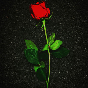 Listen to Keep Dreaming song with lyrics from Jay Rose